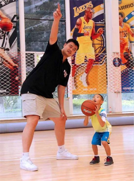 主力前锋哈 主力前锋哈